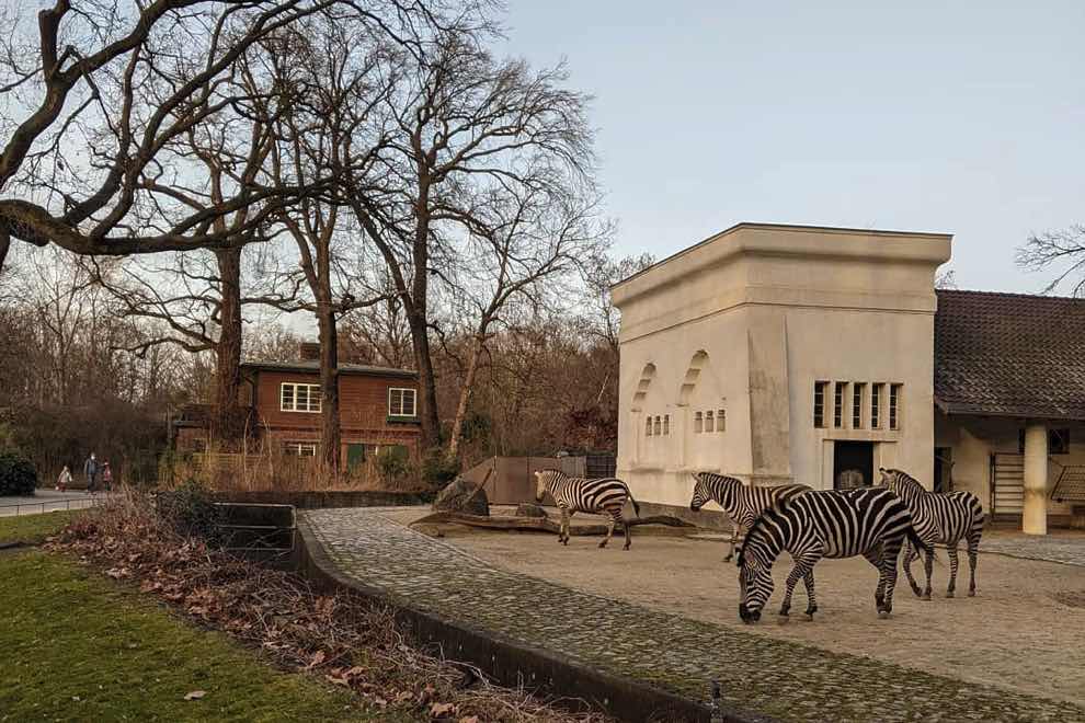 zoo di berlino prezzi