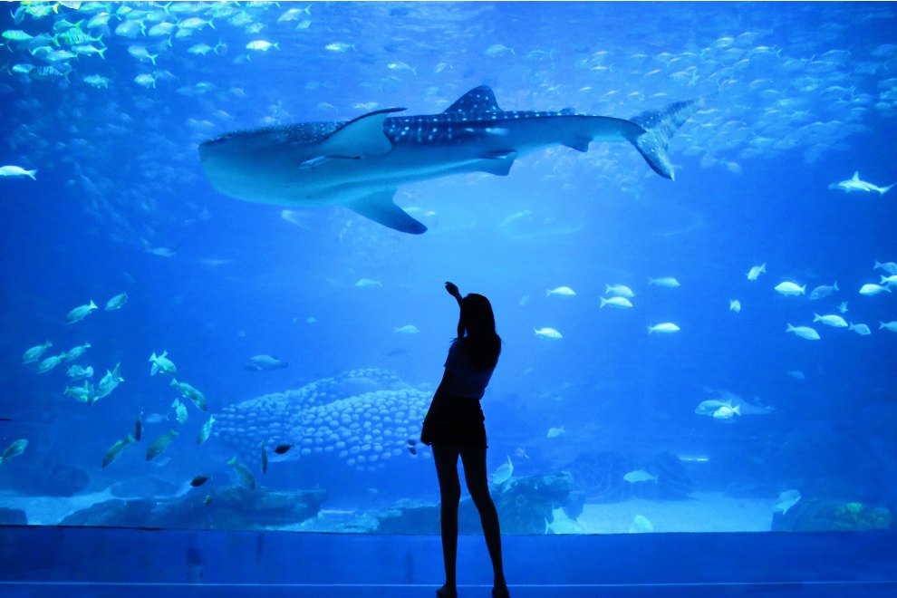 acquario barcellona orari