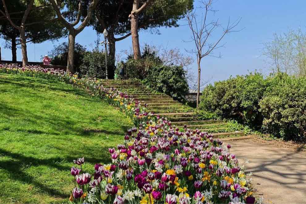 font montjuic